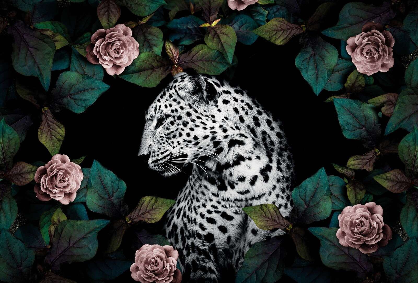 Leopard among velvet flowers