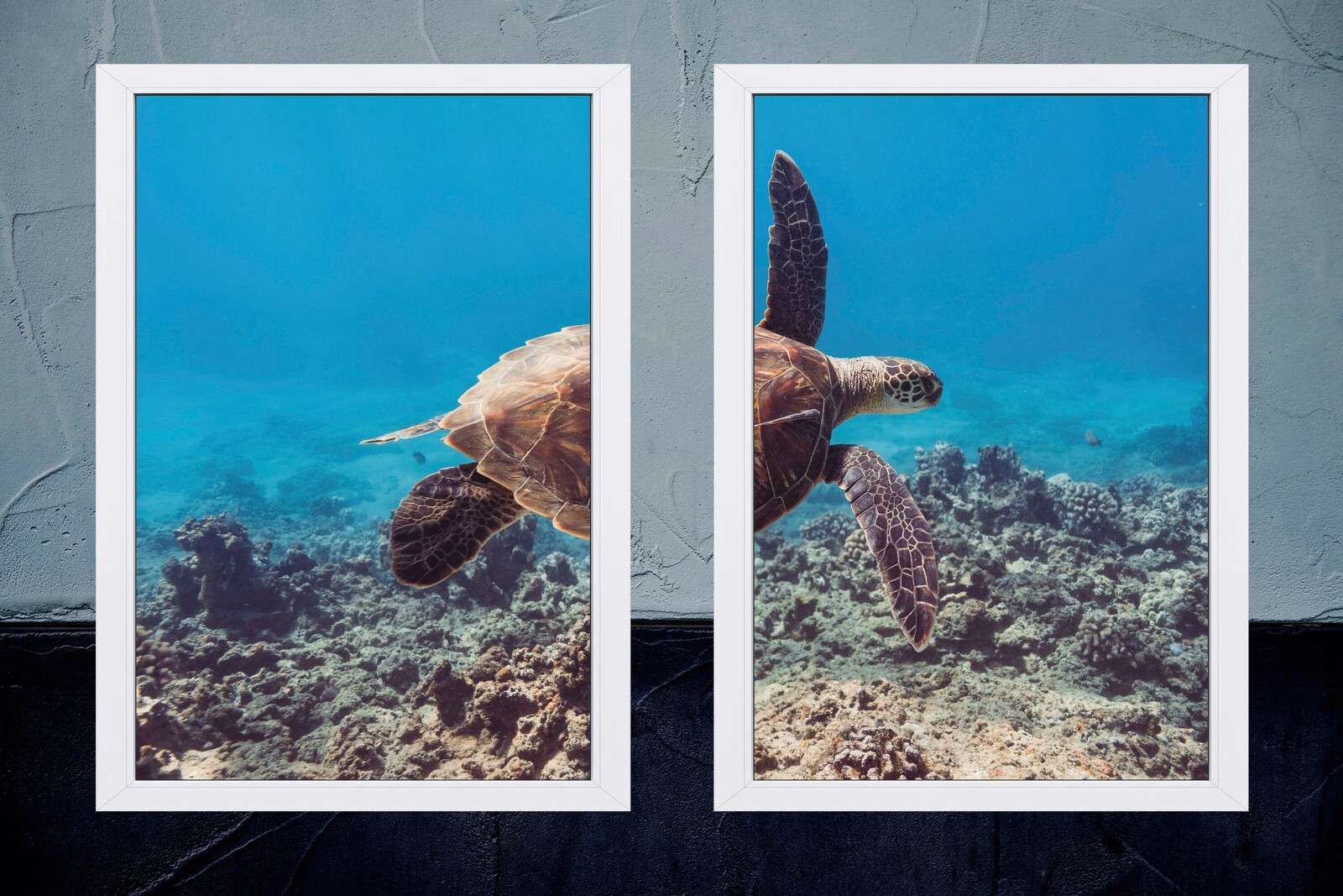 Sea turtle above coral reef
