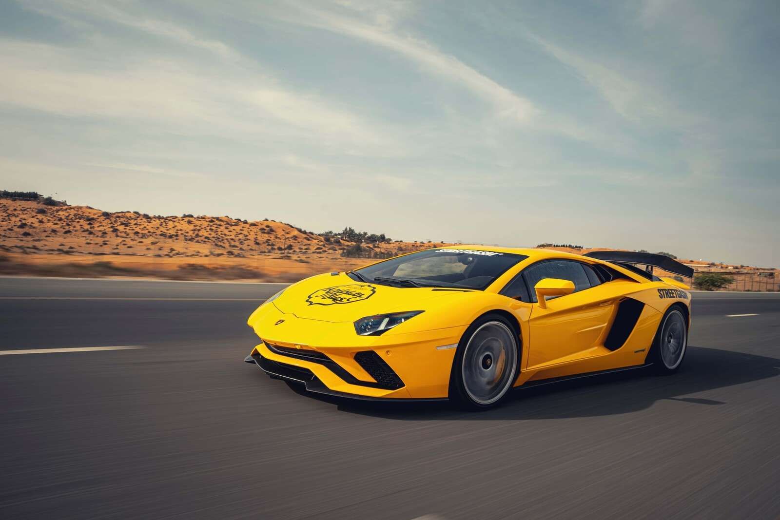 Lamborghini Aventador in action
