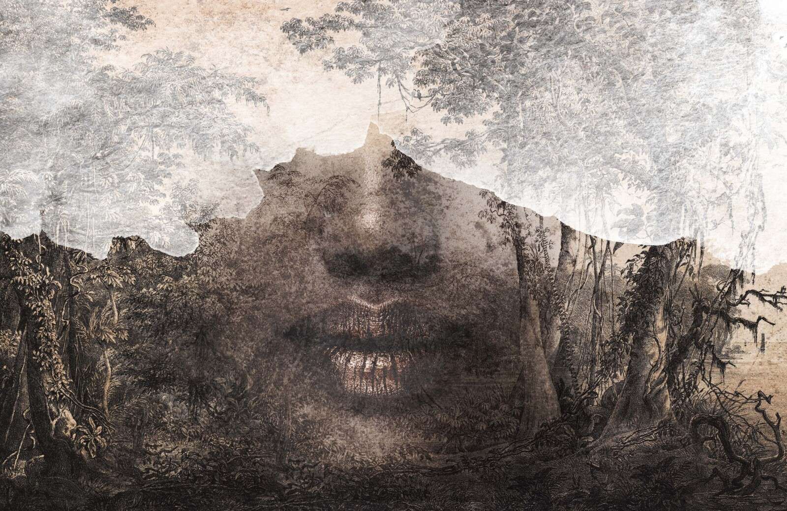 The soul of the forest