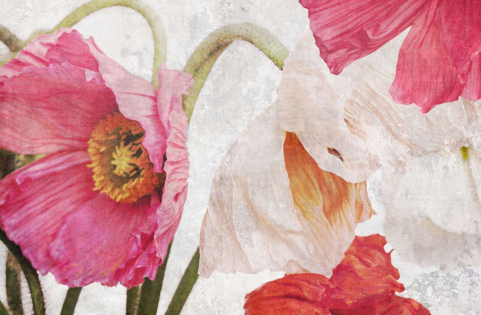 Dancing poppies in summer air