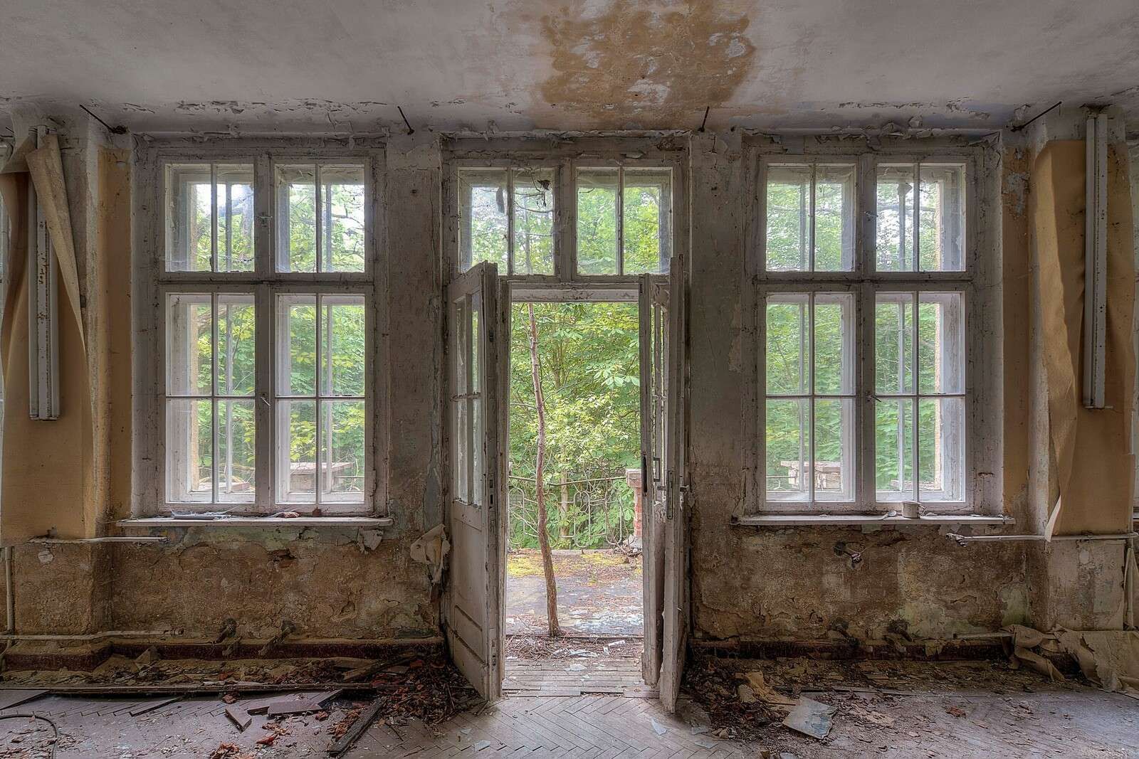 Weathered room with forest view