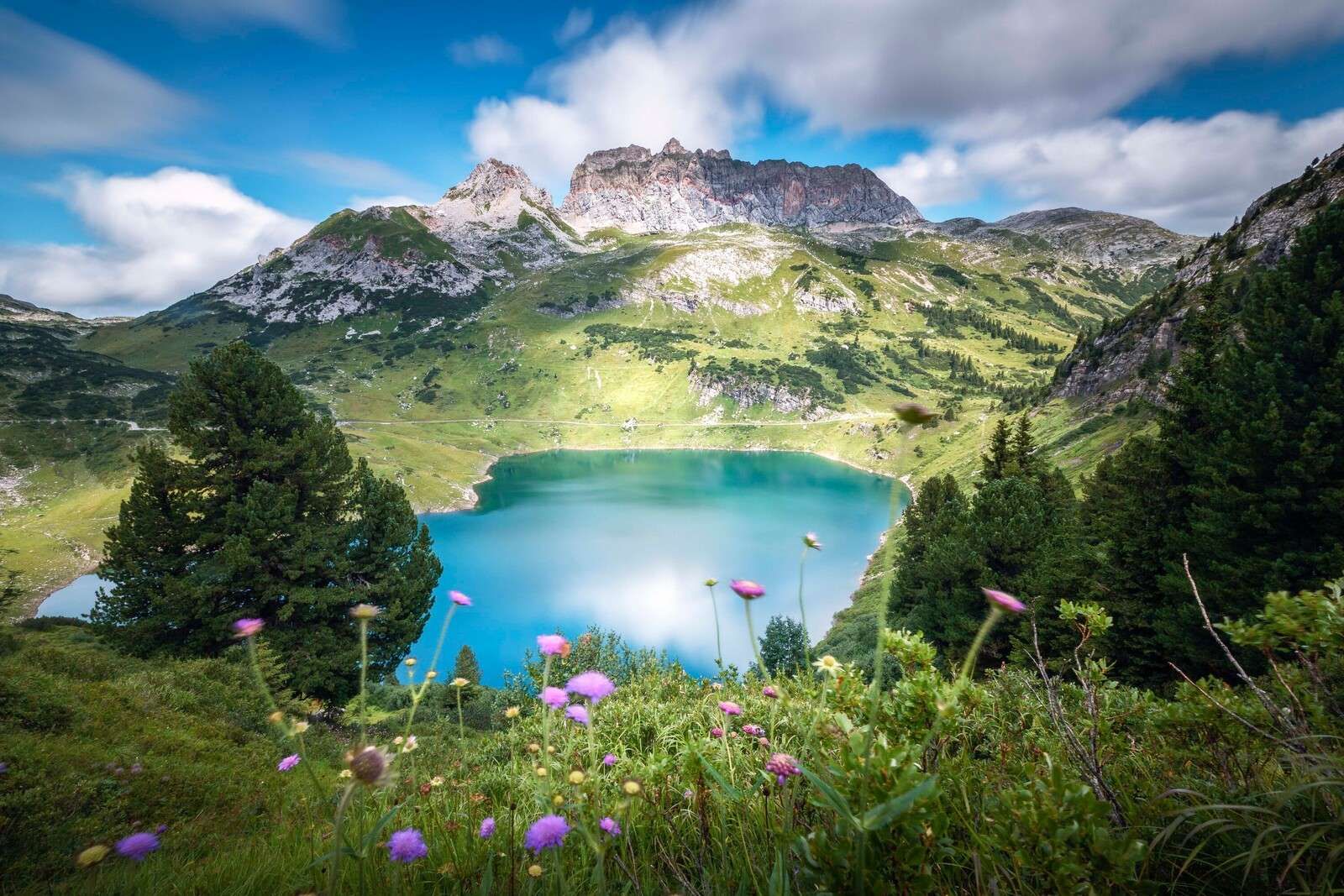 Mountain lake with wild alpine flowers