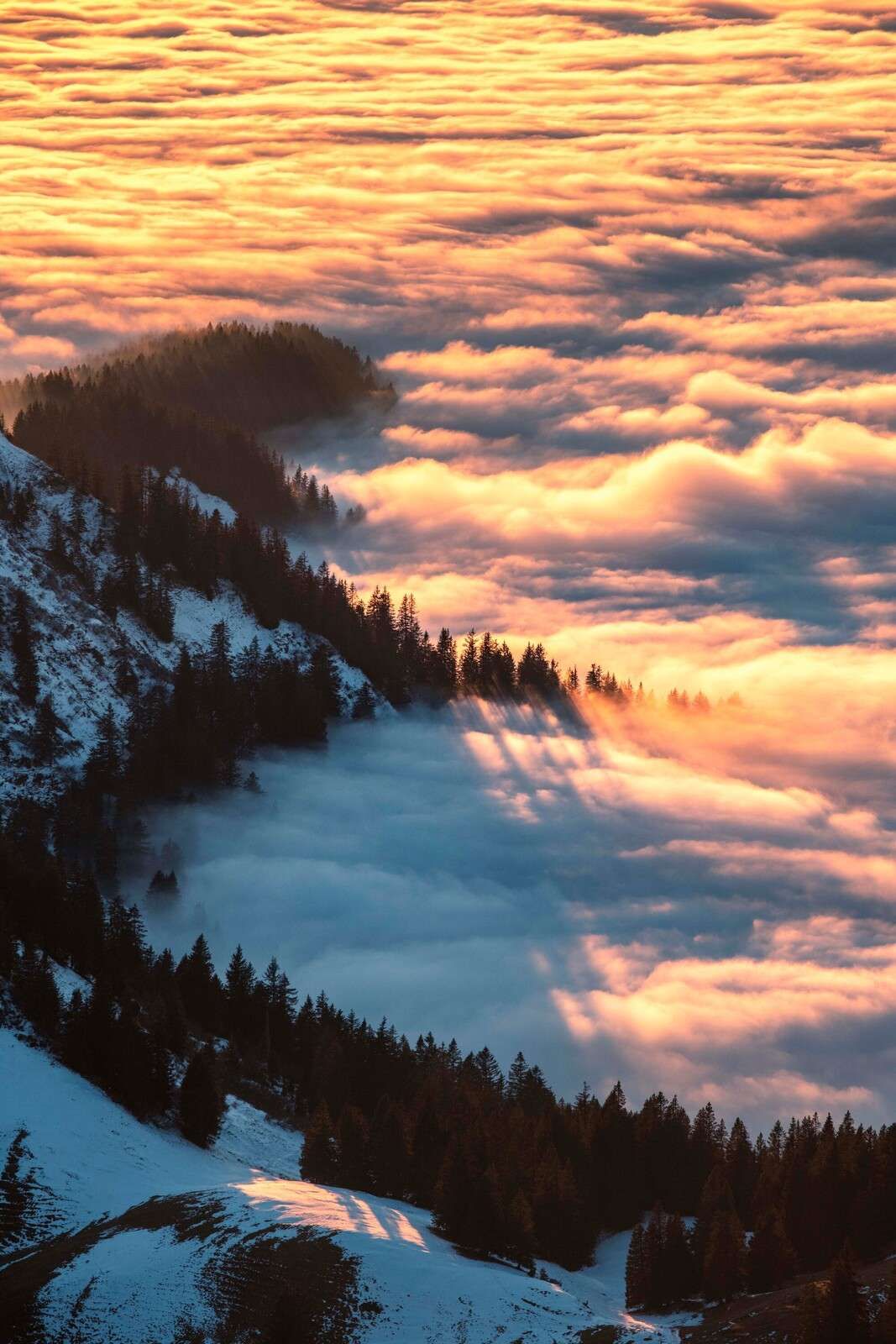 Morning glow over misty mountain forest