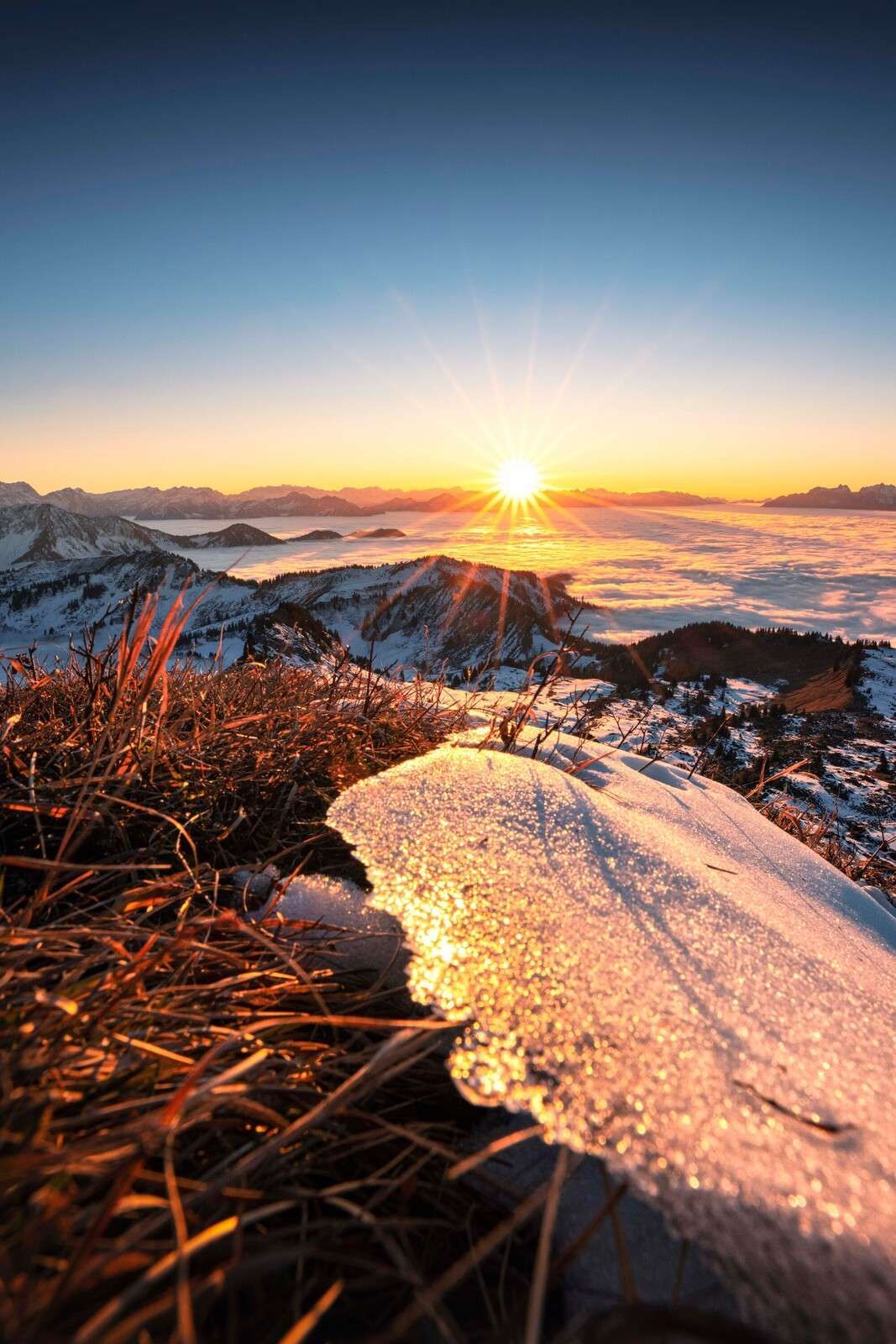 Morning sun on glistening mountain meadow