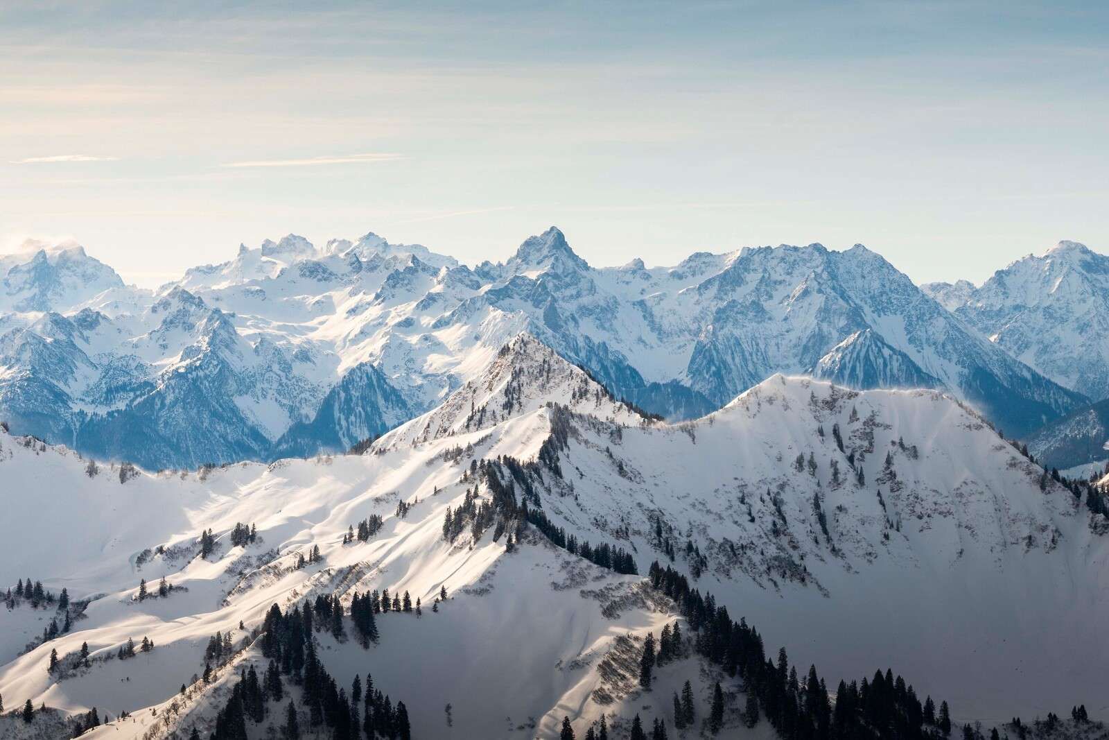 Winter mountain range with snow-covered fir ridge