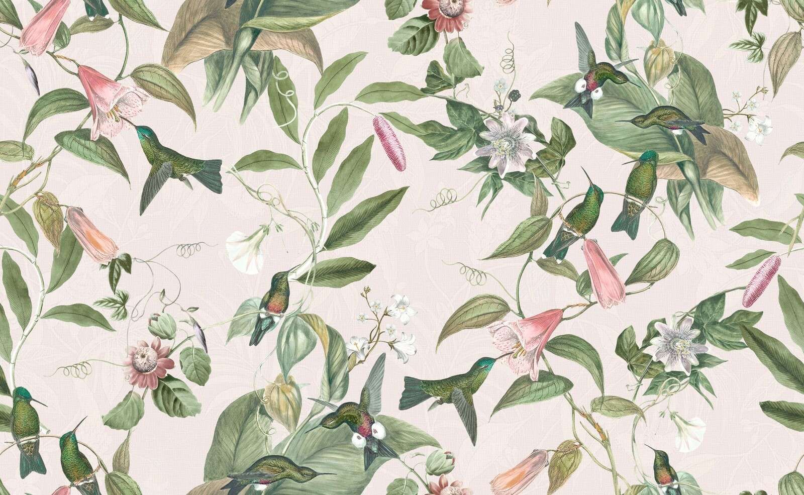 Hummingbirds among pink blossoms