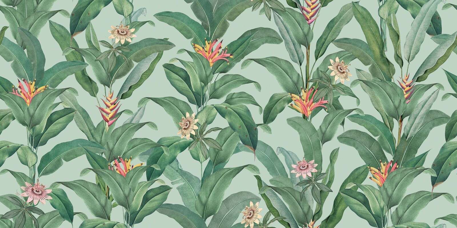 Tropical leaves with heliconia