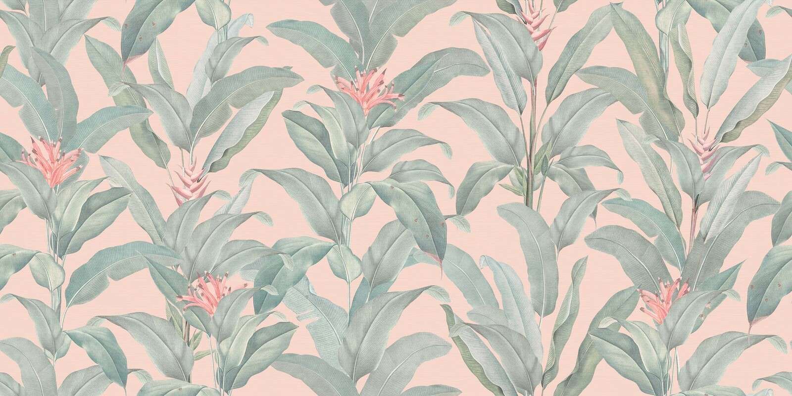 Tropical heliconia in powder pink