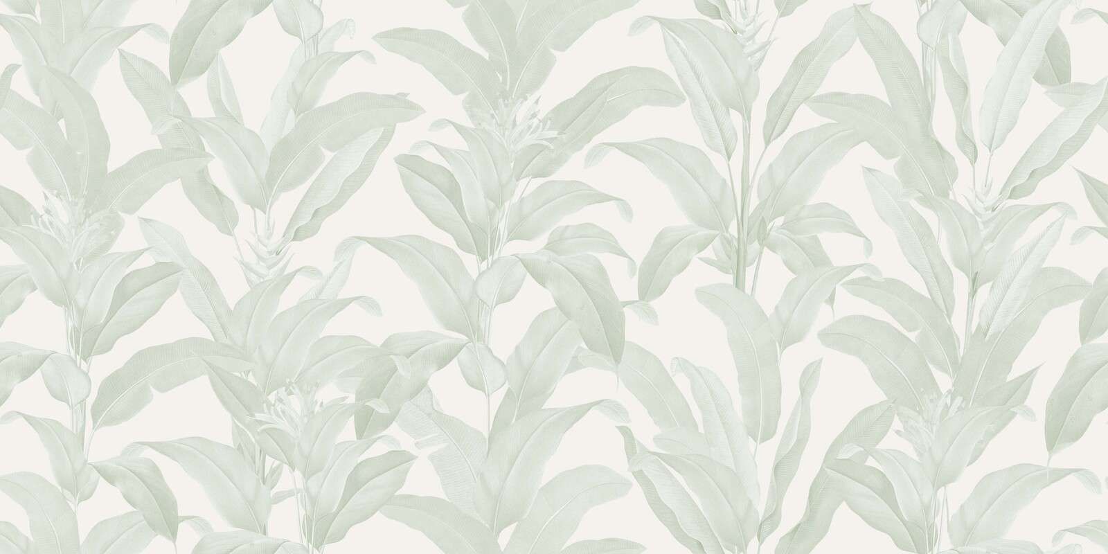 Soft tropical leaves in sage green
