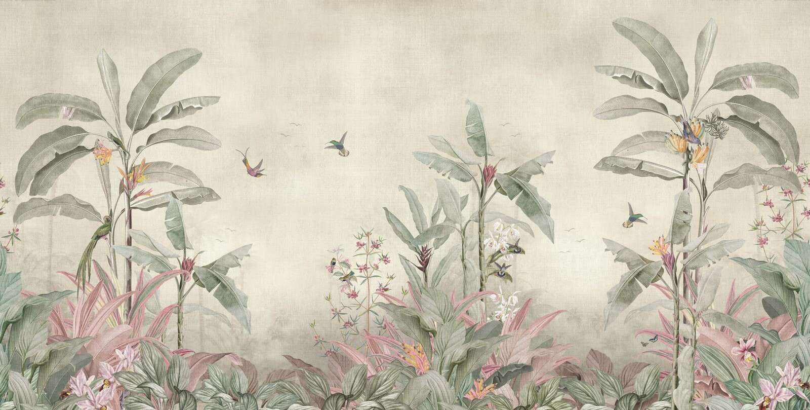 Hummingbirds among soft banana leaves