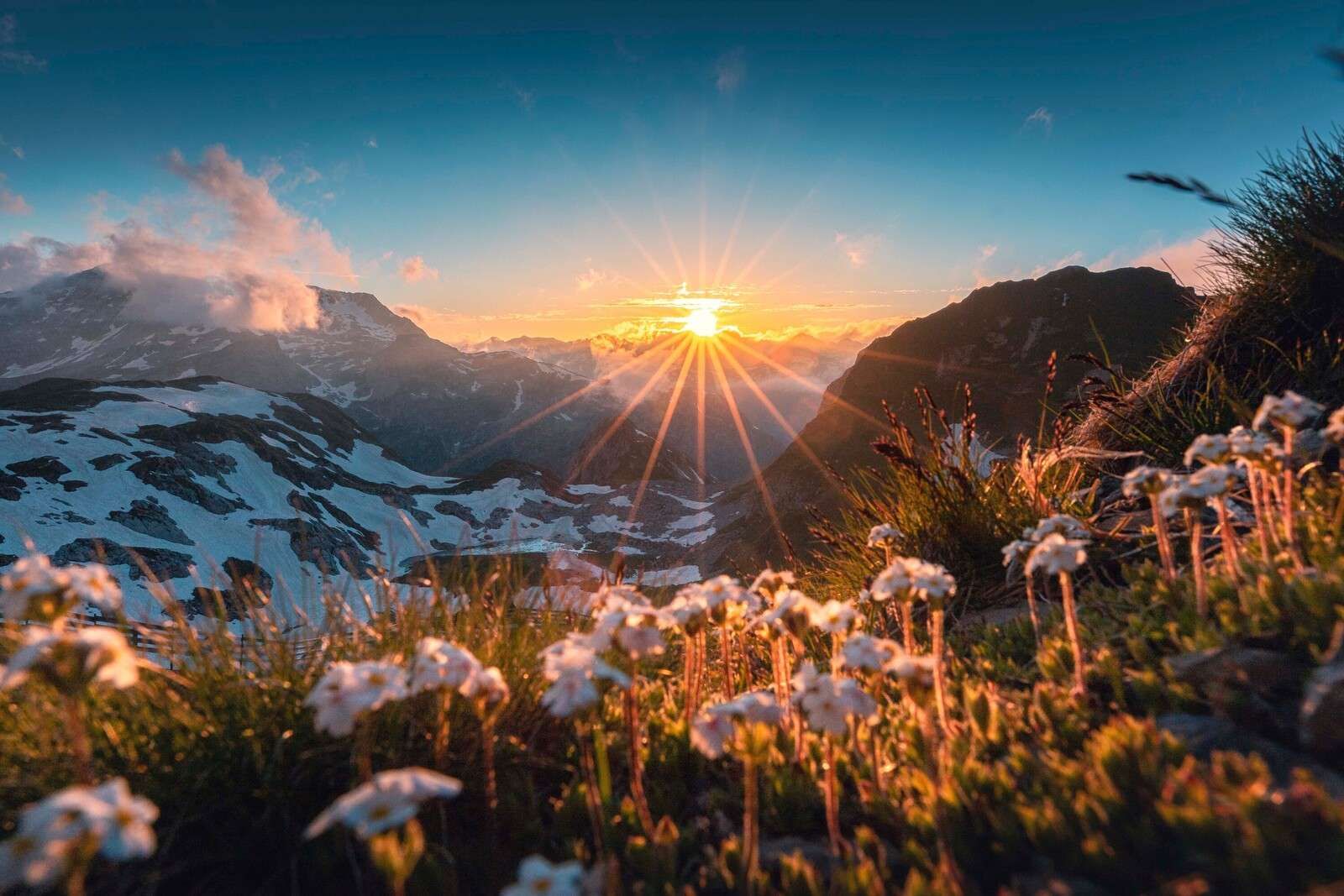 Sunlight over alpine meadow