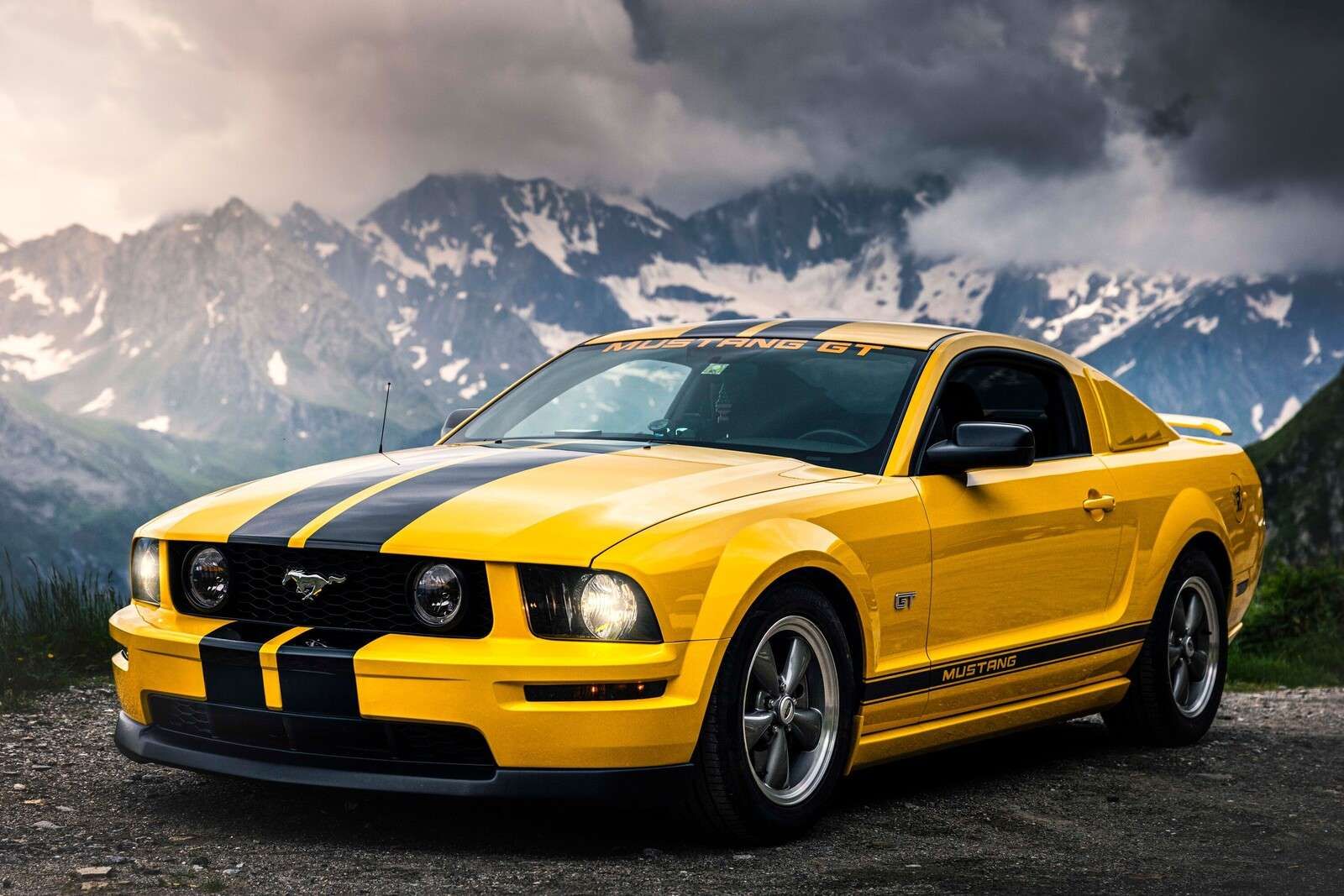 Yellow mustang in mountain landscape