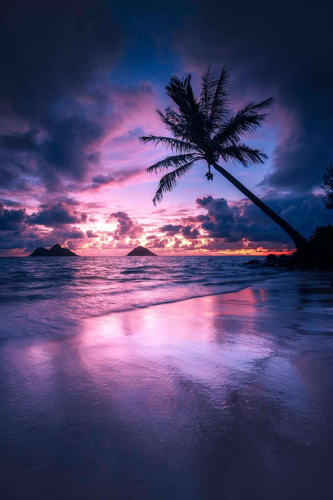 Beach at purple sunset
