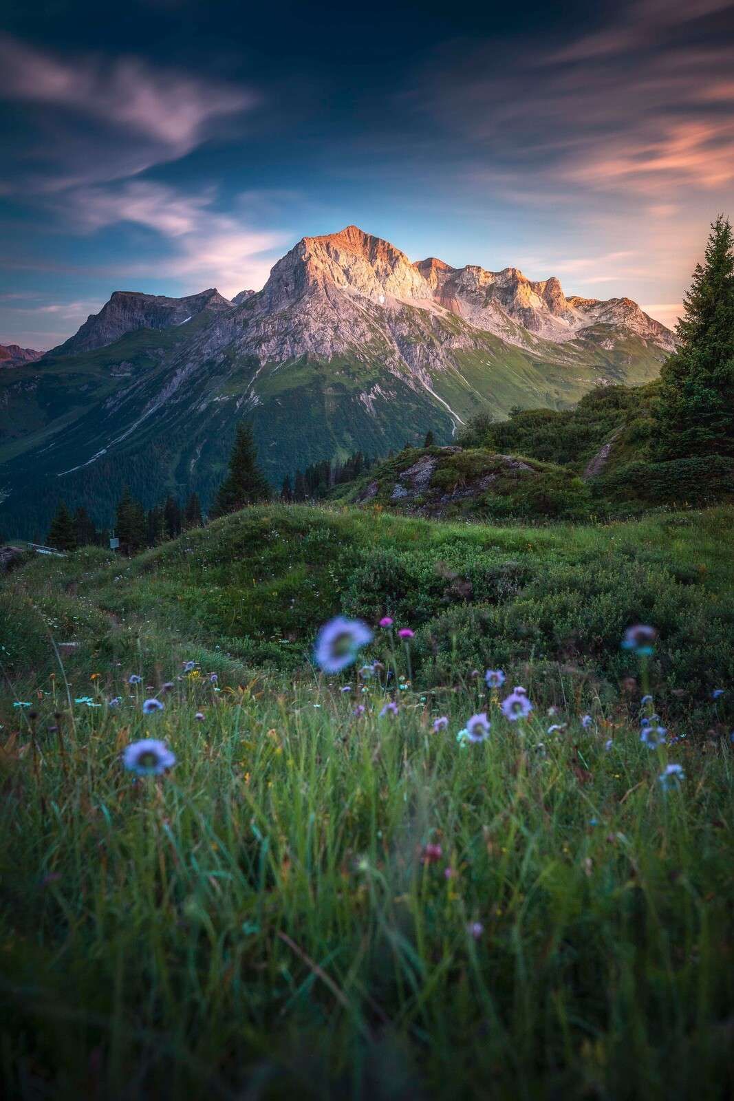 Evening light over flower valley