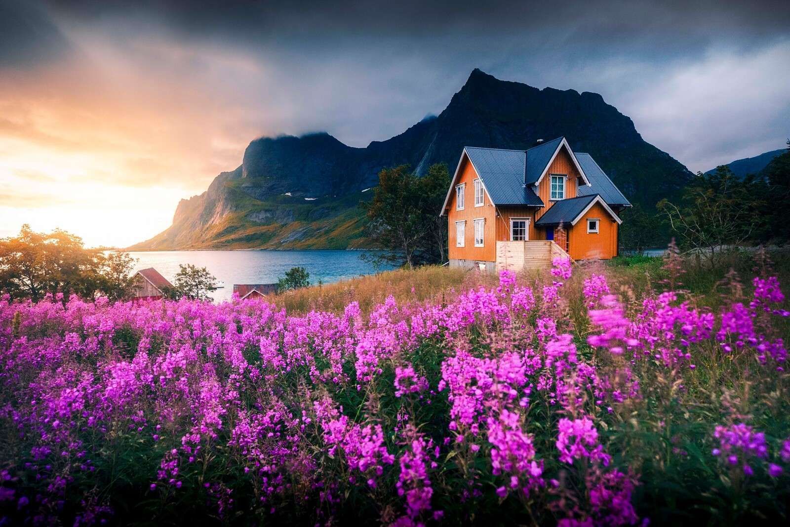 Orange house by purple fjord