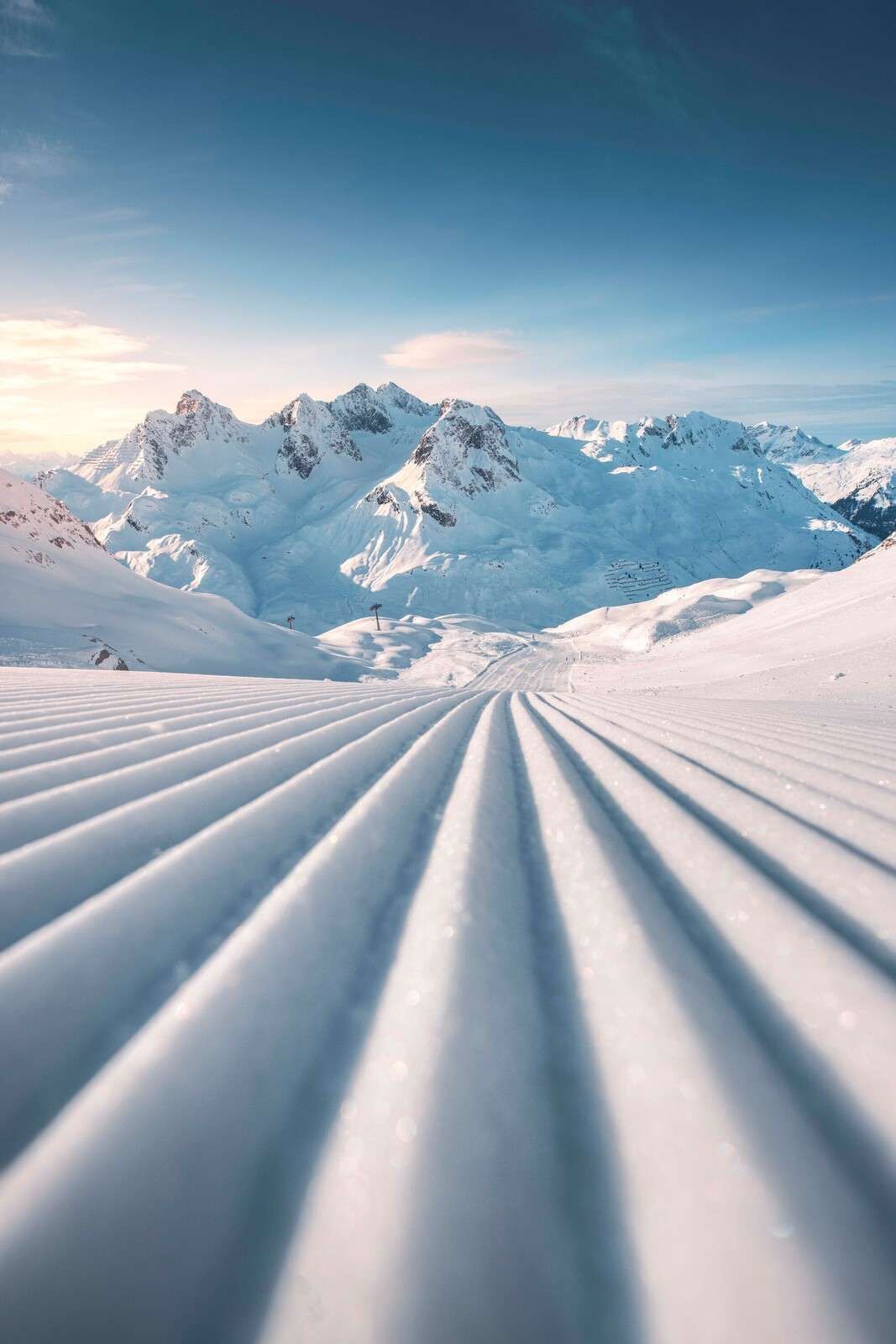 Verse tracks in mountain snow