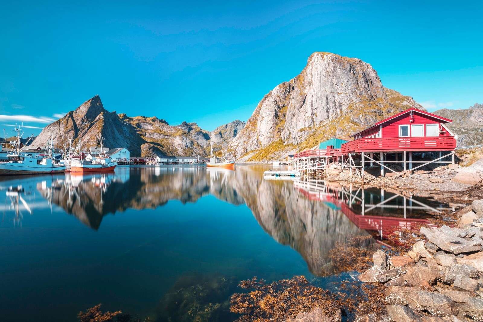 Red houses by fjord water