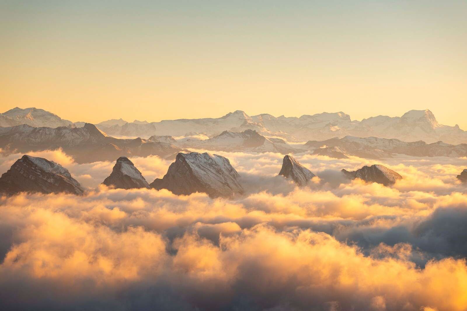 Mountain peaks above a golden sea of clouds