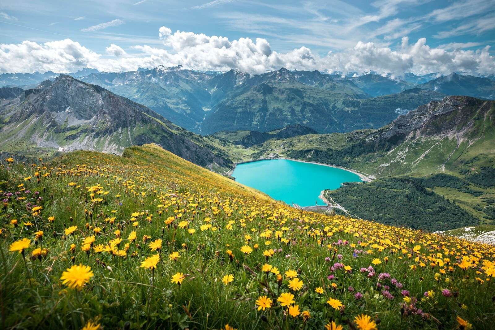 Flower meadow above turquoise mountain lake