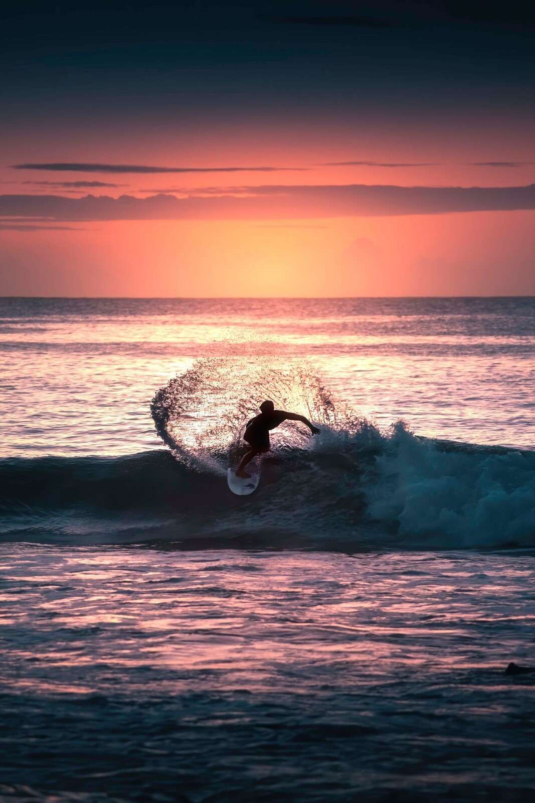 Surfer in the pink evening glow