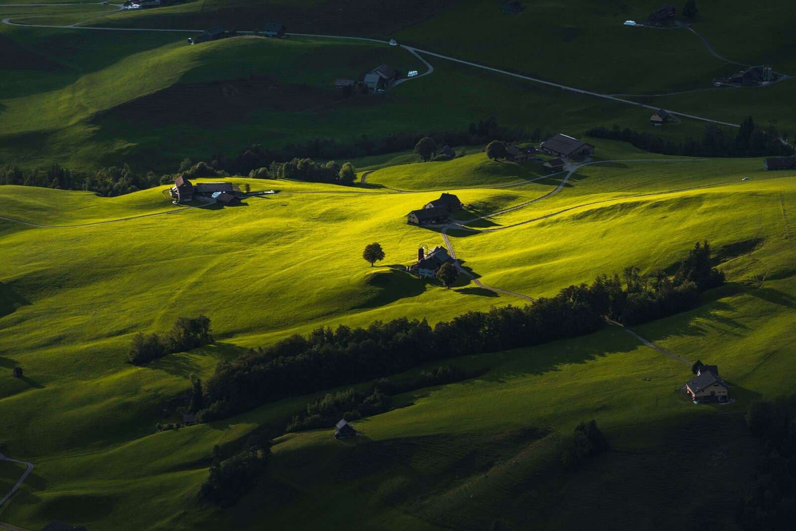 Rolling hills in the evening light