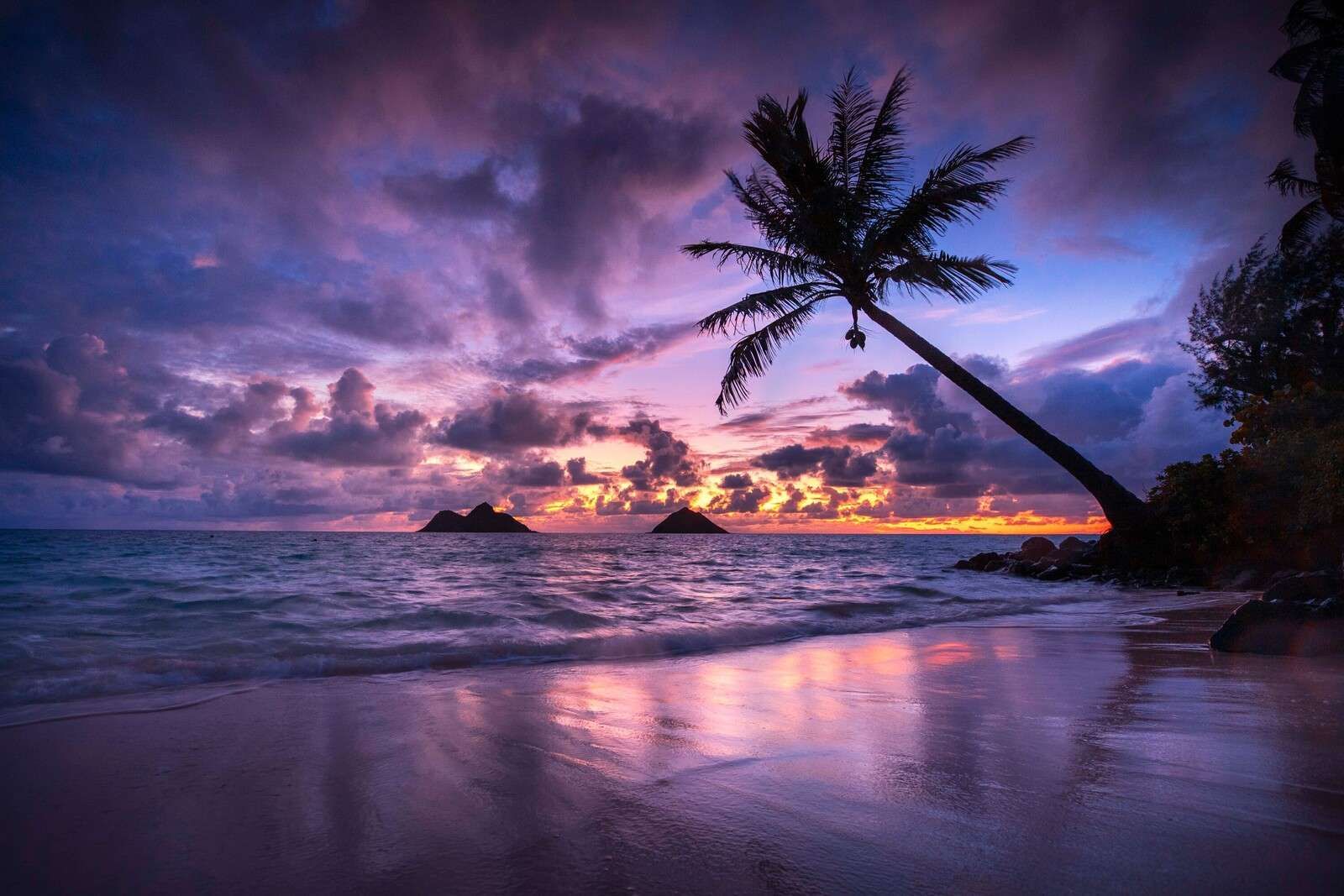 Tropical Coast at Purple Sunset