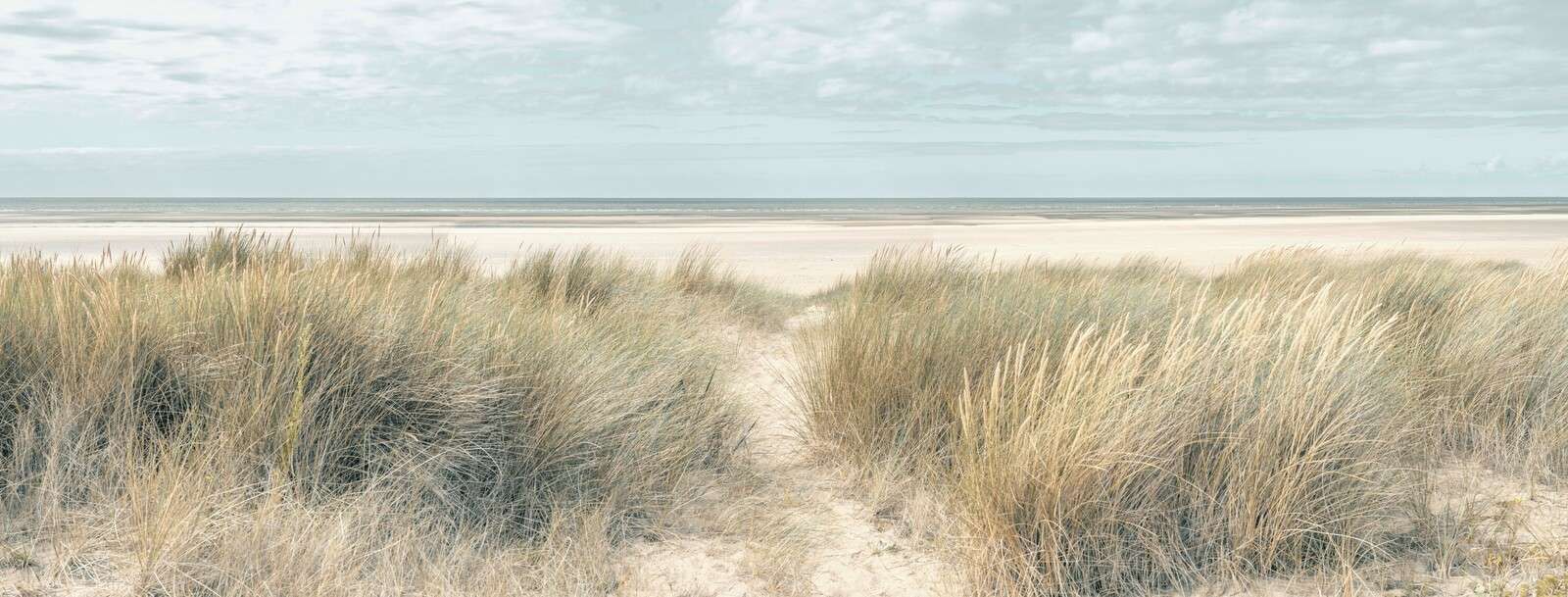 Grassy sand dunes on the seacoast under blue sky