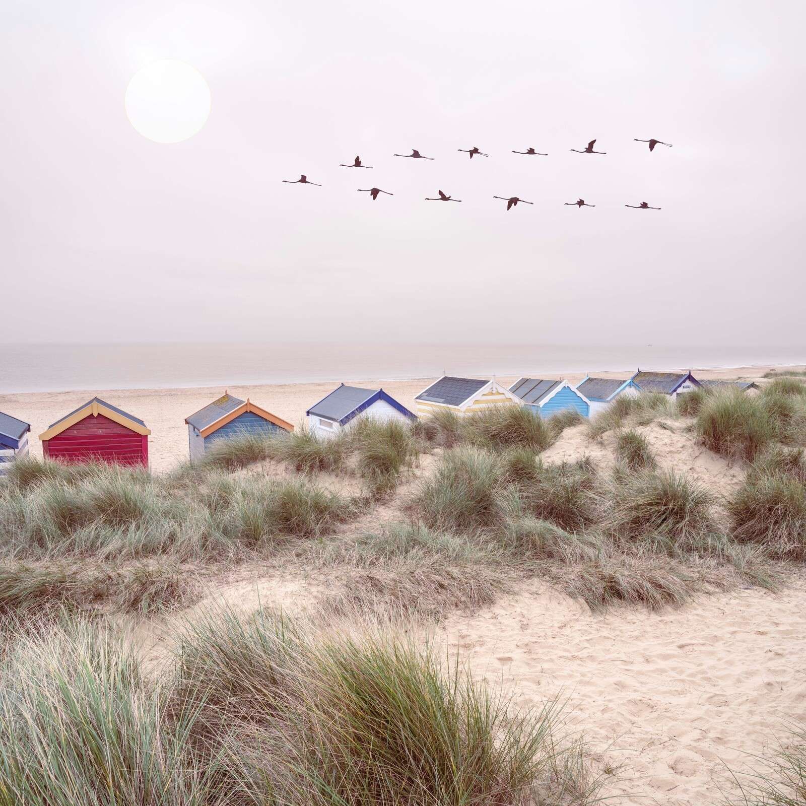 Beach cabins on sandy beach