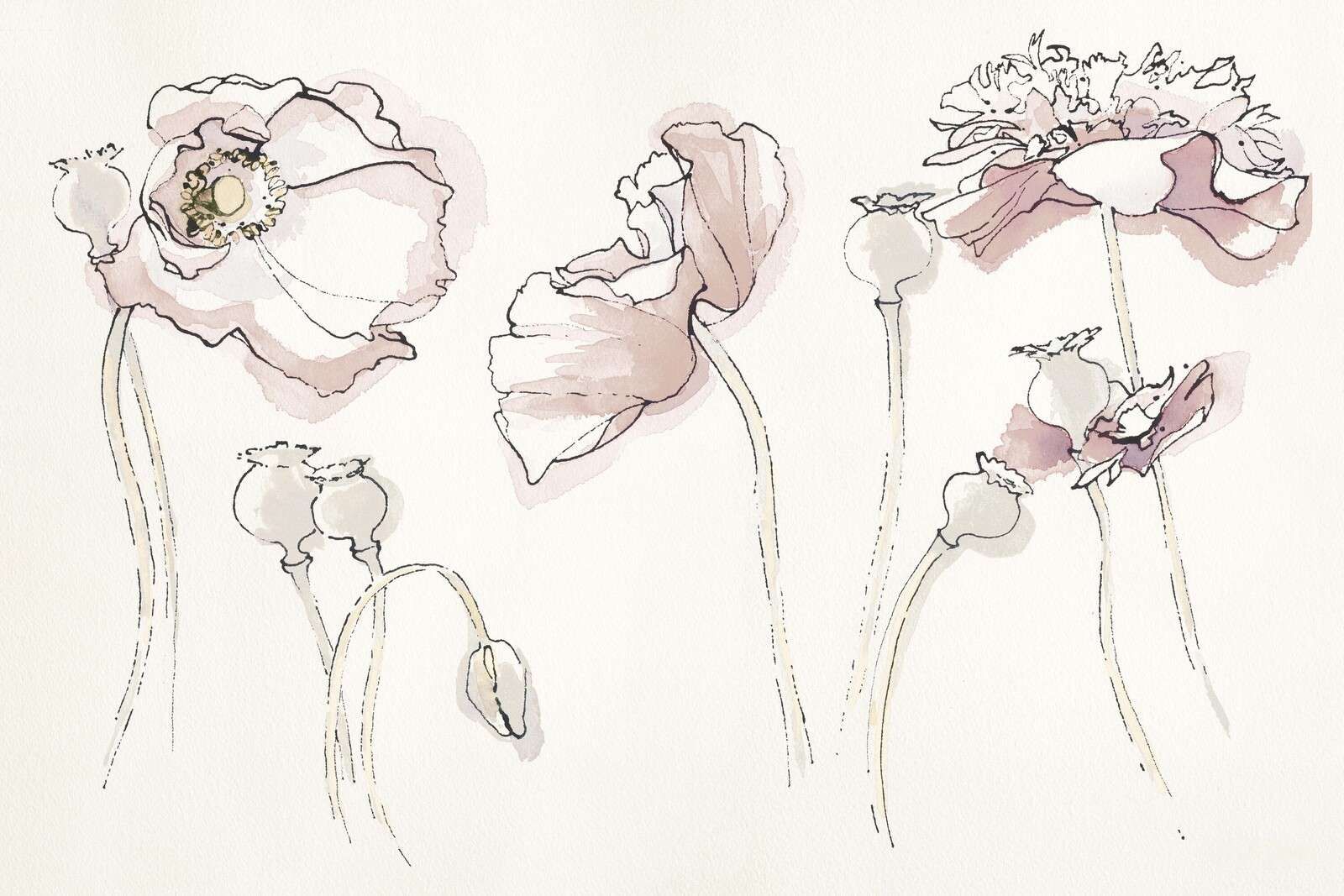 Soft pink poppy line game