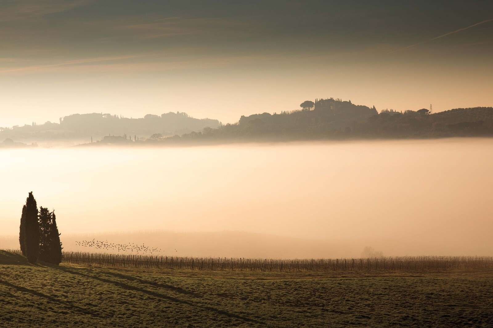 Hills In Tuscan Morning Mist