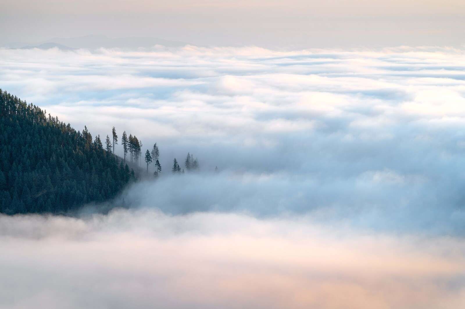 Mountain Forest Above The Clouds