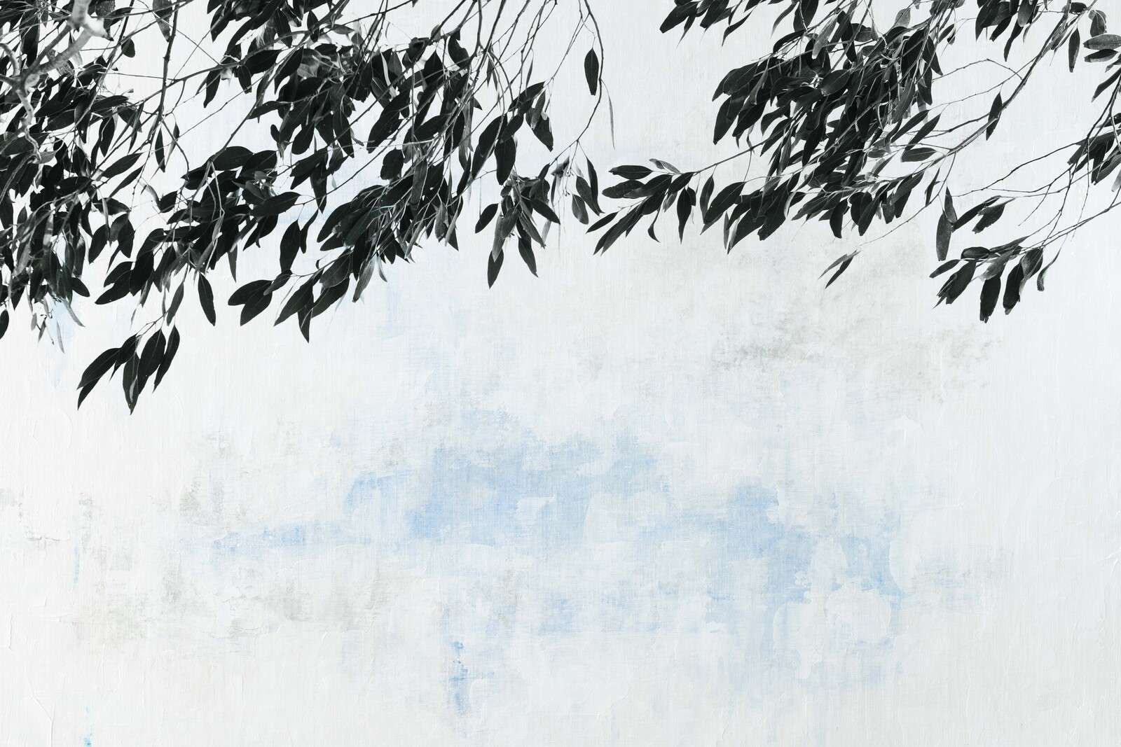 Dark branches against light sky