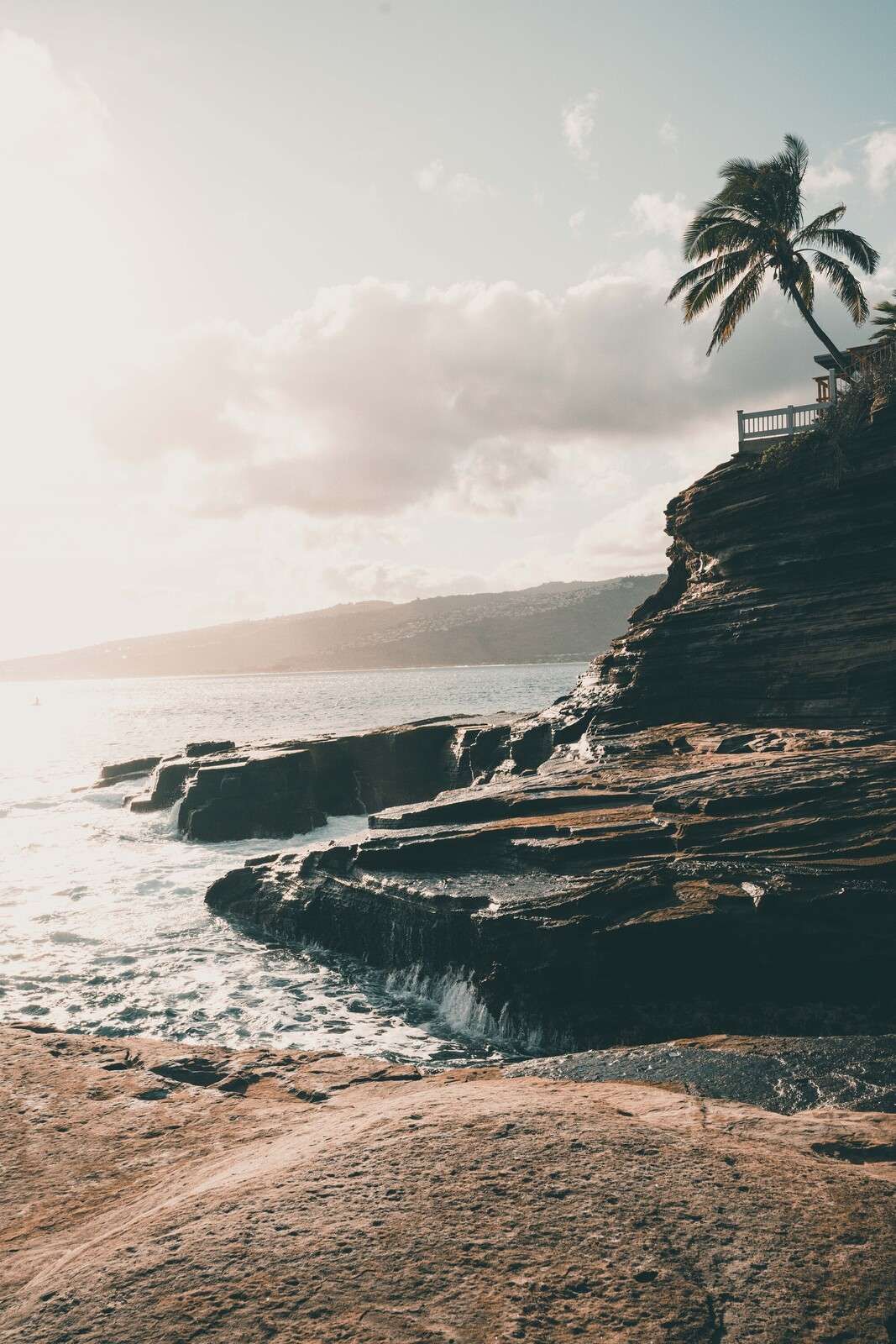 Rusty coast with a lonely palm tree