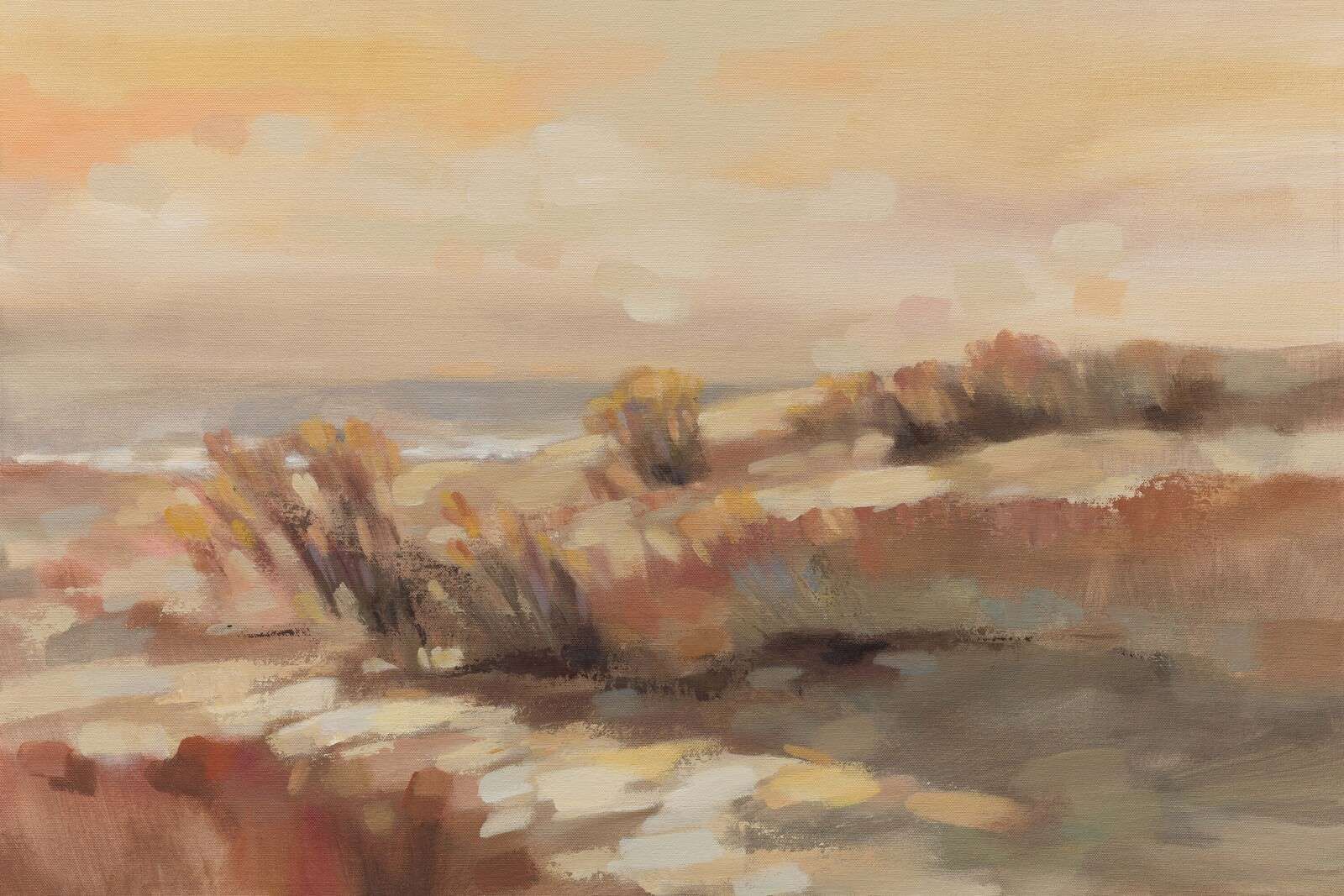 Warm dunes in evening light