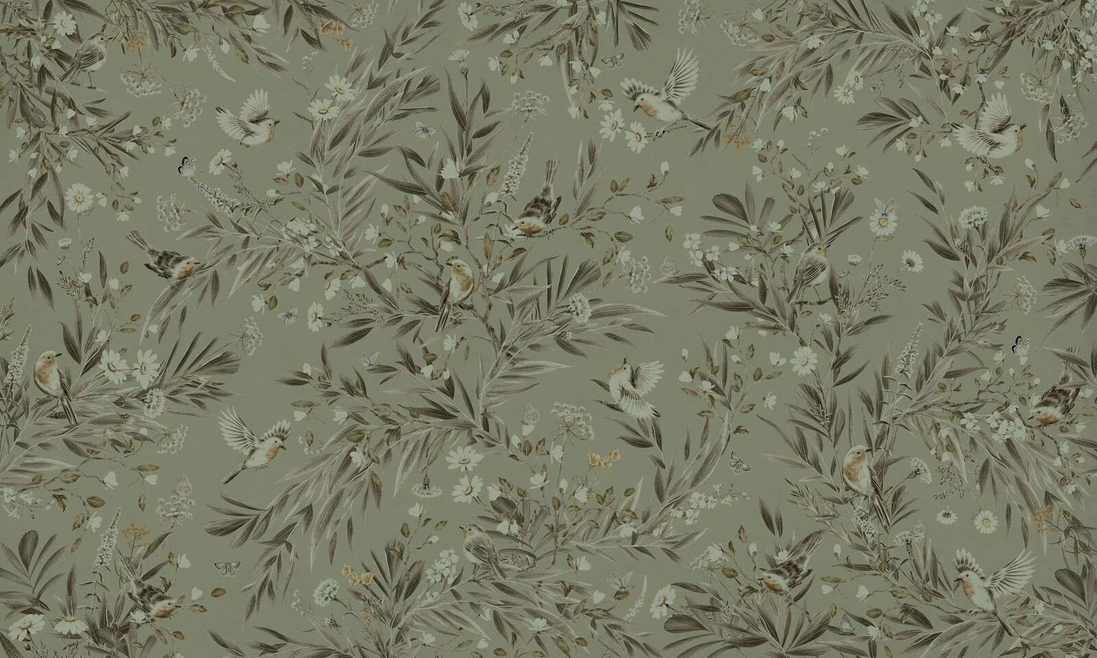 Playful Robins - Monochrome - Green