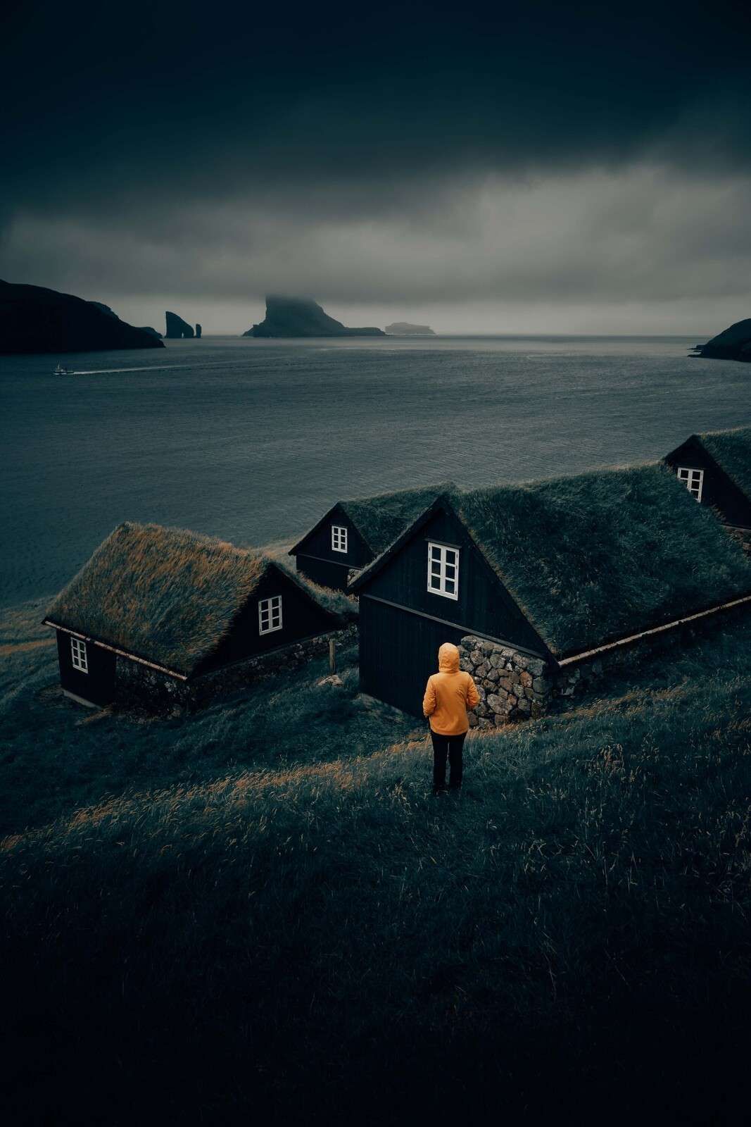 Grass roofs by a northern fjord
