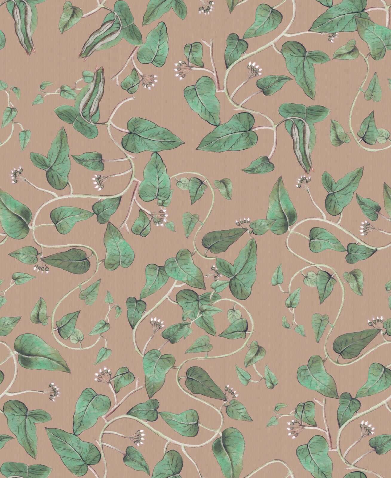 Climbing bean vines on sand brown