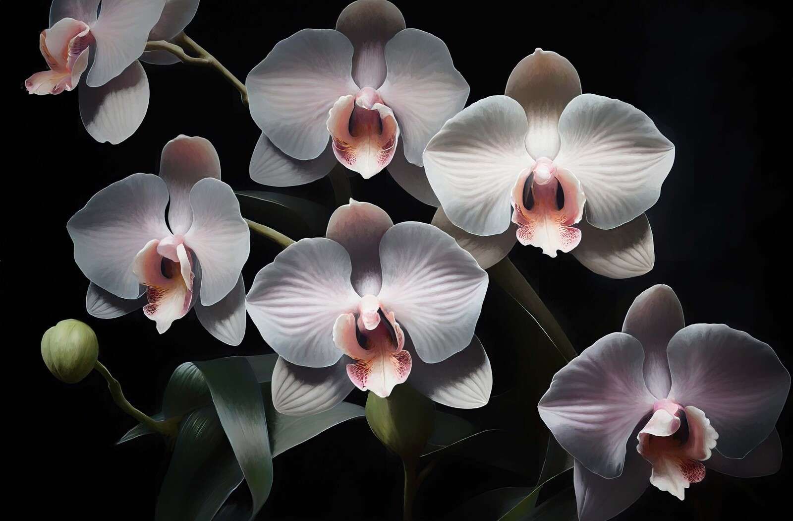 White orchids with a pink heart.