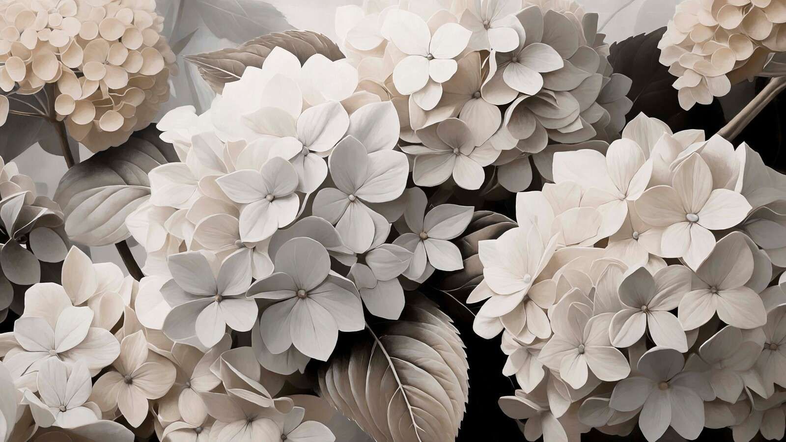 Cream-colored hydrangeas with depth