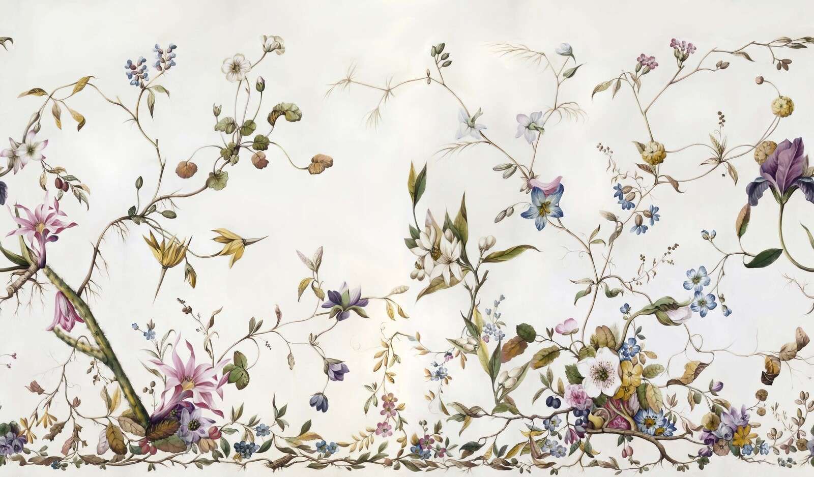 Airy wildflowers with tendrils