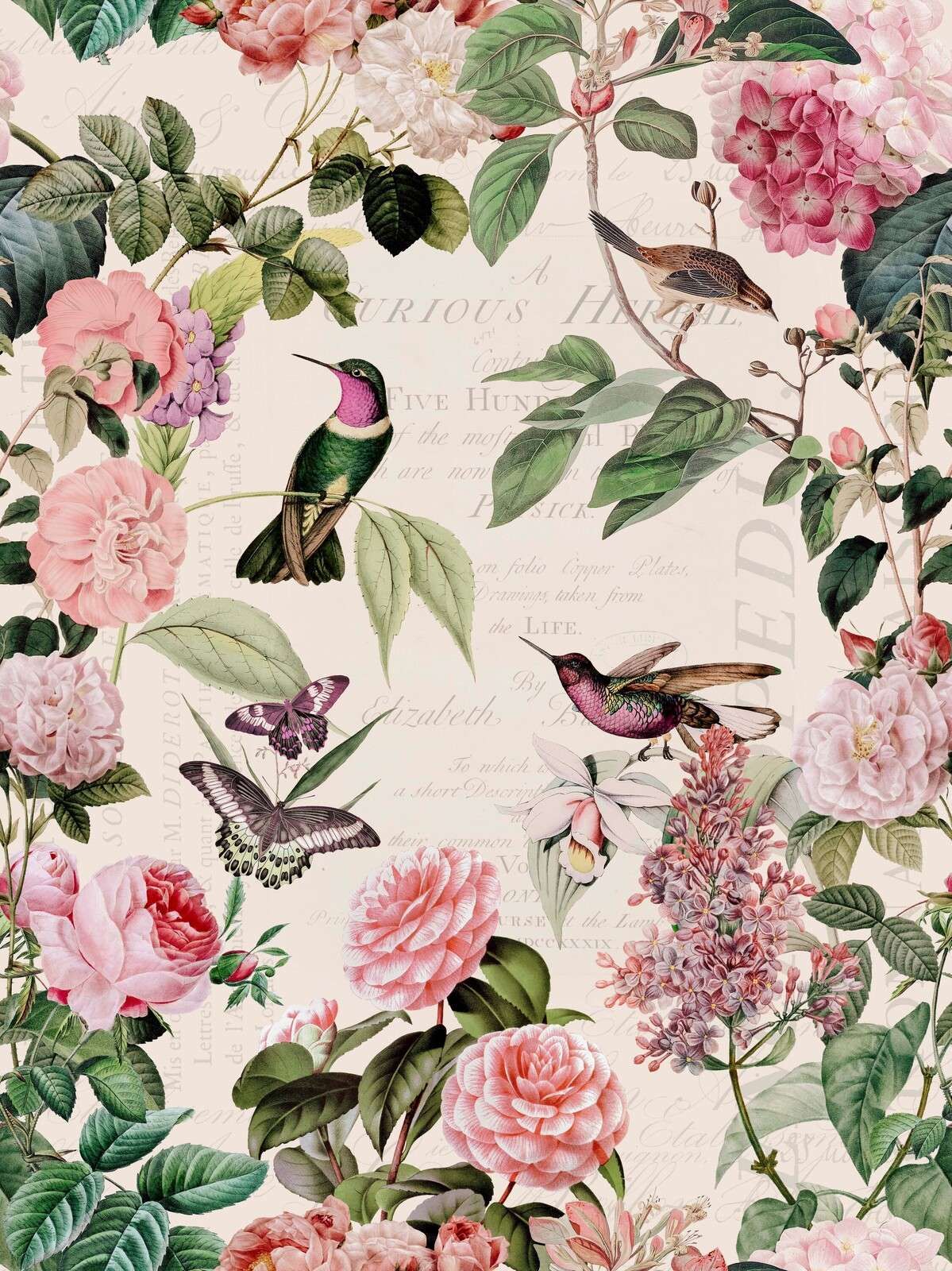 Hummingbirds and roses
