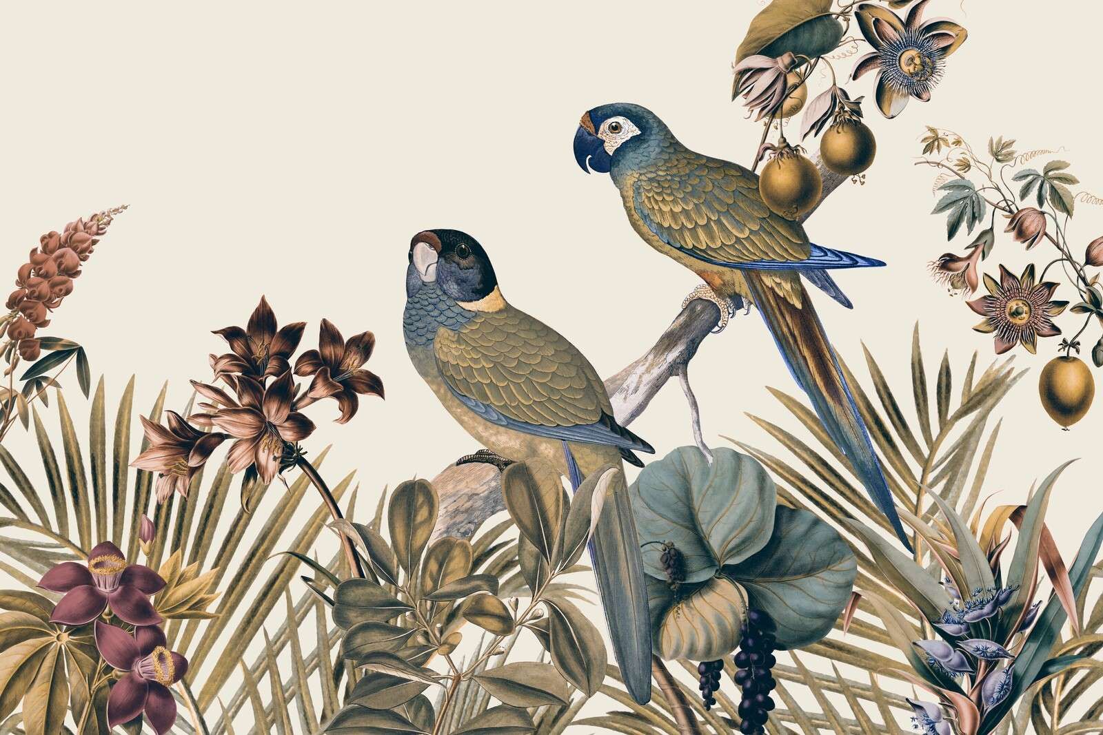 Jungle vibes parrots island