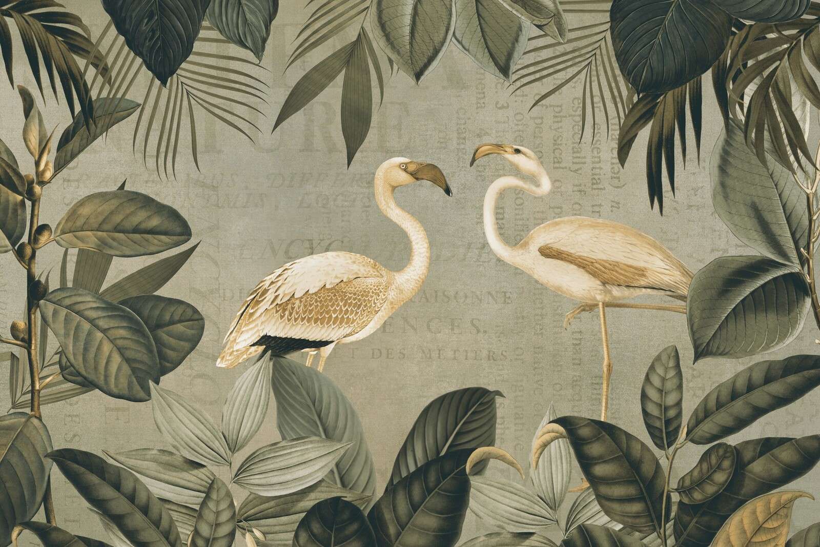 Vintage flamingo oasis and old text