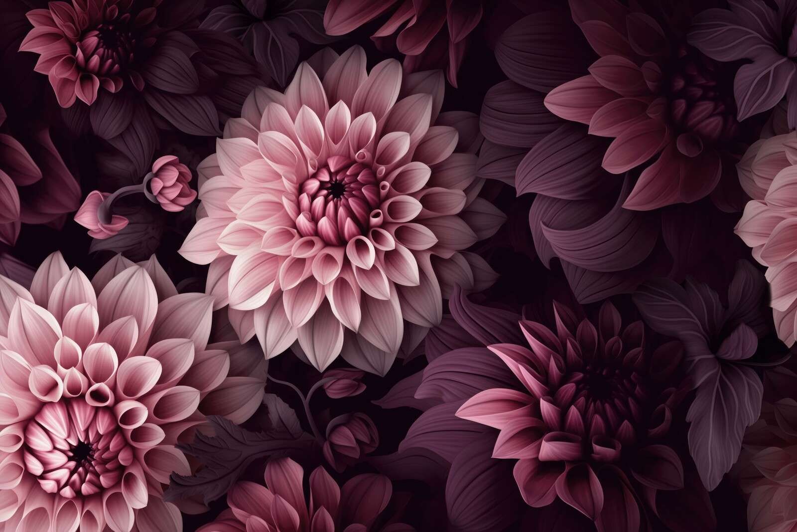 Opulent moody dahlia flowers moody pink