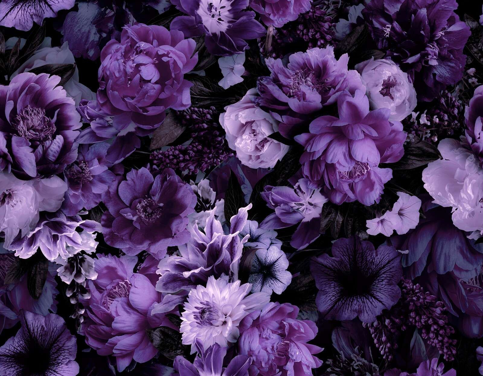 Floral baroque opulence rich purple