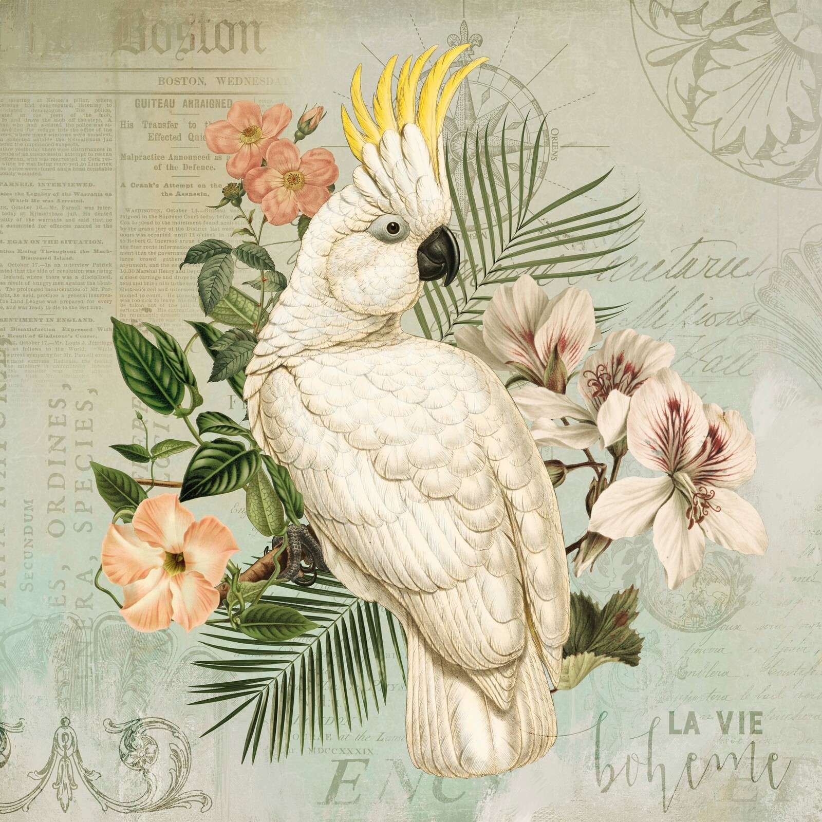 Cockatoo vintage nostalgia