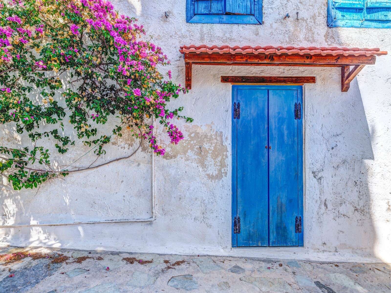 Blue door with bougainvillea