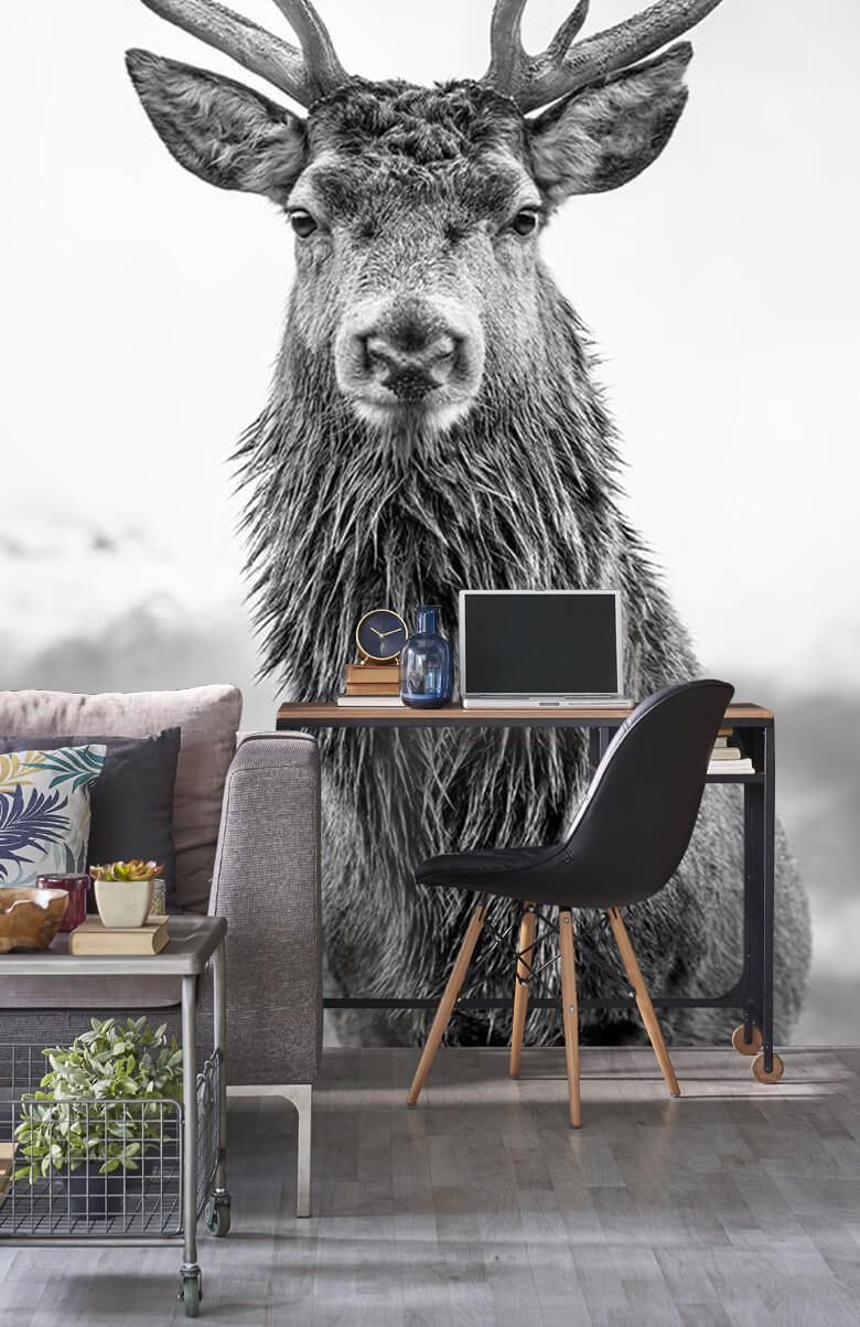 Big deer - Wallpaper Big deer - Wallpaper