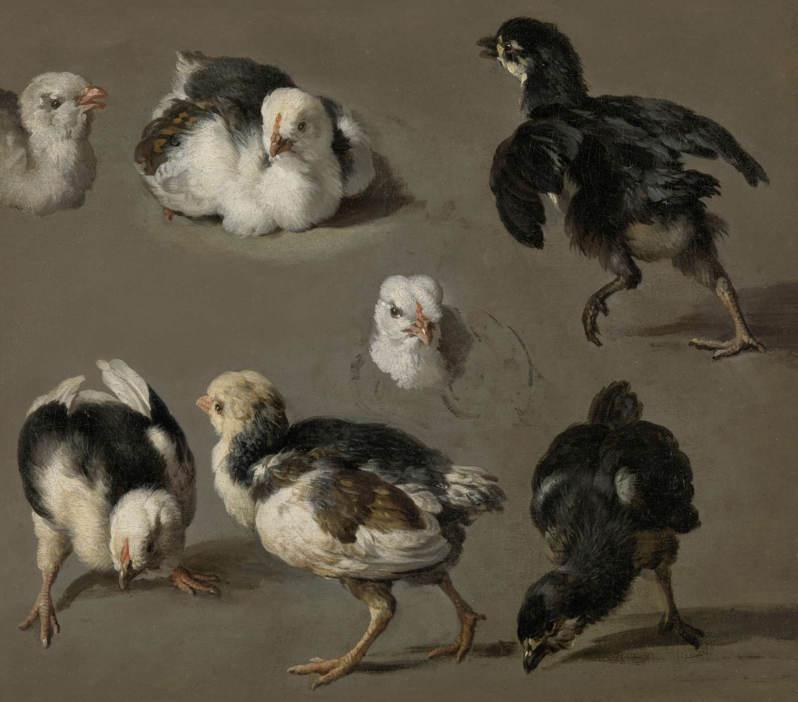 Zeven kuikens